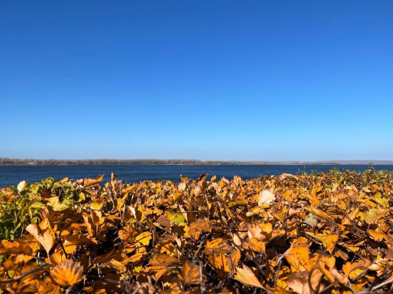 В Самарской области 15 ноября дожди сделают паузу