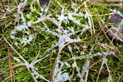 Народные приметы на 29 ноября 2025 года: что нельзя делать в этот день