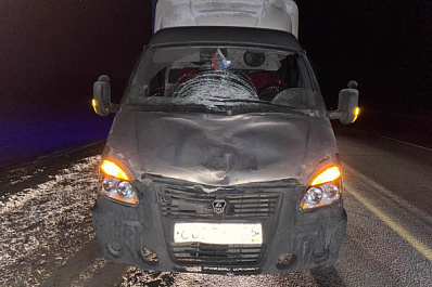 В Самарской области грузовик насмерть сбил пешехода