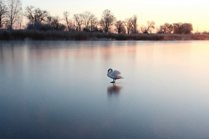 Название статьи