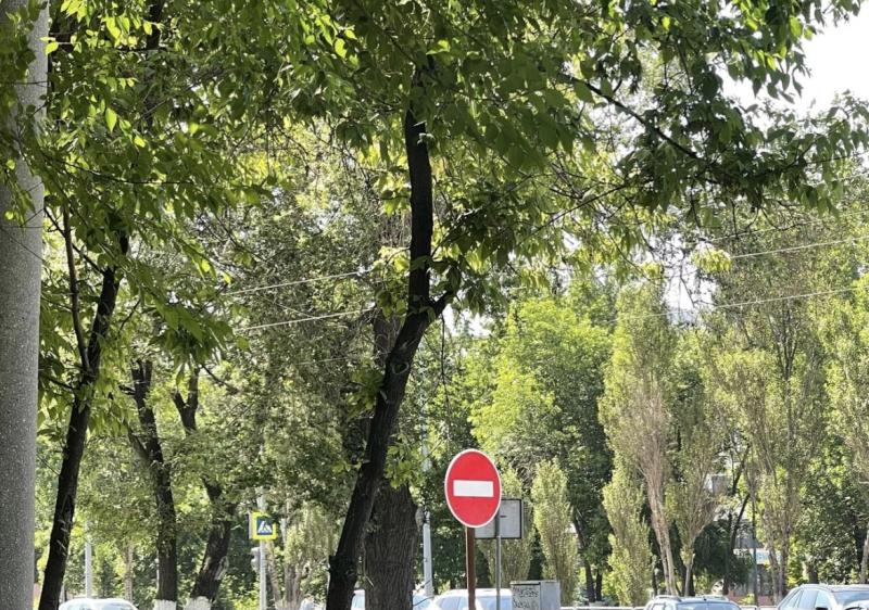 Стало известно, какие дороги перекроют в Самаре на День города