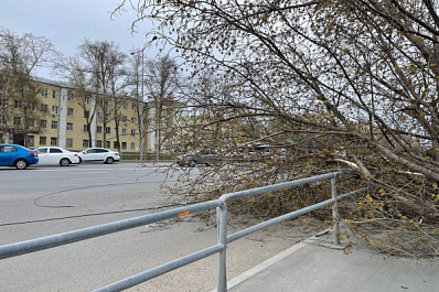 Из-за ветра несколько поселков остались без электричества