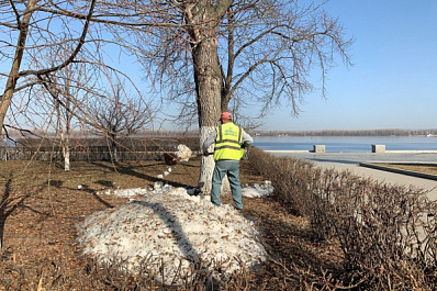 В Самаре месячник по озеленению и благоустройству стартует 1 апреля 2022 года