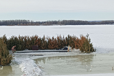 Врач Мария Сидоренко предостерегла от купания в проруби