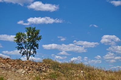 В Самарской области ожидаются жаркие выходные