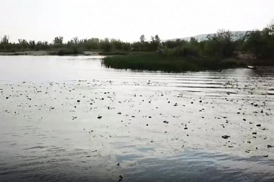 Пик паводка прошел: в Самарской области повышение уровня воды фиксируется лишь на нескольких реках