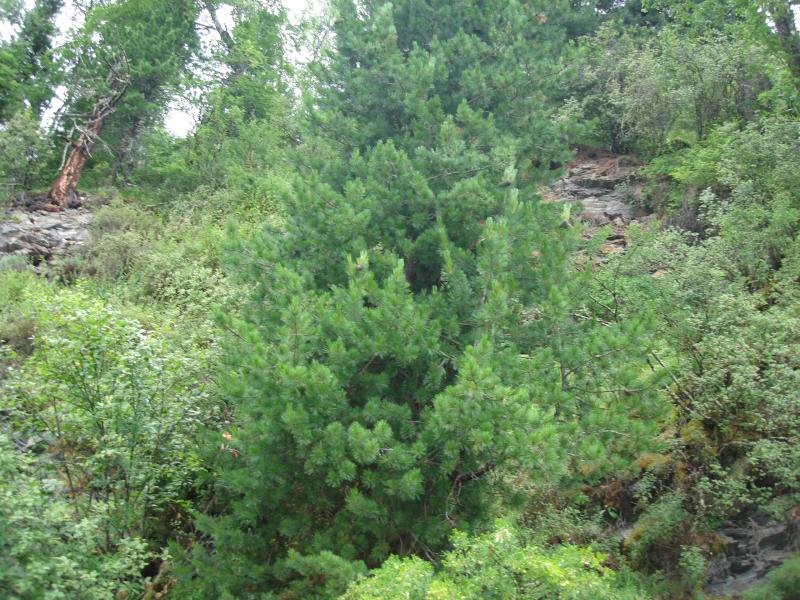 В Самарской области откроют экологический парк для детей