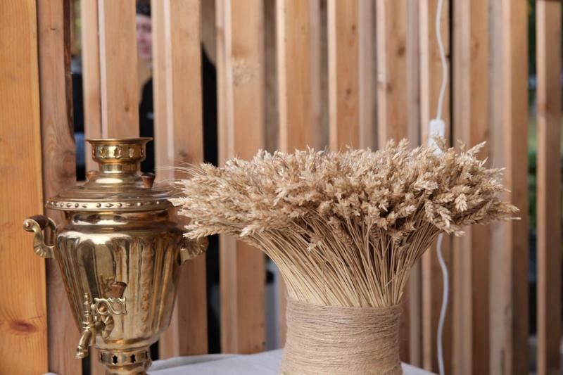 В Самаре проходит гастрофестиваль "Самара со вкусом"