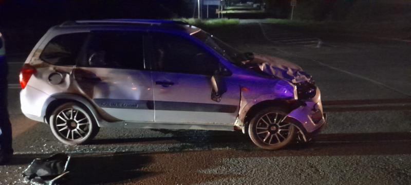 В Самарской области на трассе легковушка задавила корову