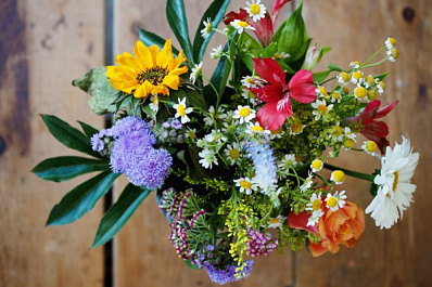 Самарская область присоединяется к Всероссийской акции 