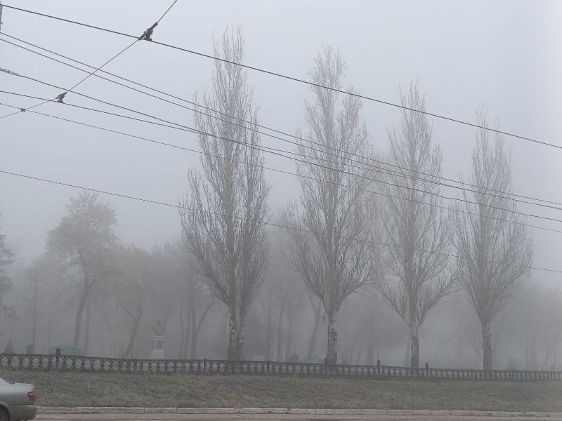 Самарскую область ночью 23 марта окутает густой туман