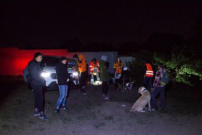 В Самарской области грибник заблудился в лесу и погиб