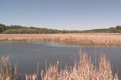 Рыбакам Самарской области рассказали, как спасти обмельчавший водоём