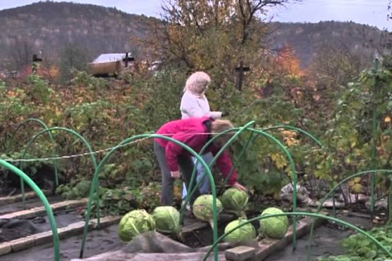 Дачные советы 07.03.2013