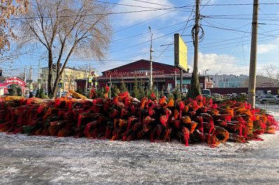 В Тольятти 15 декабря начнут работать елочные базары