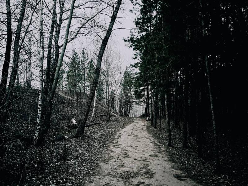 Шла вдоль леса и оглядывалась: в Самарской области задержали женщину с 1,2 кг наркотиков