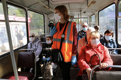 Самарского кондуктора случайно впутали в скандал с котом Твиксом