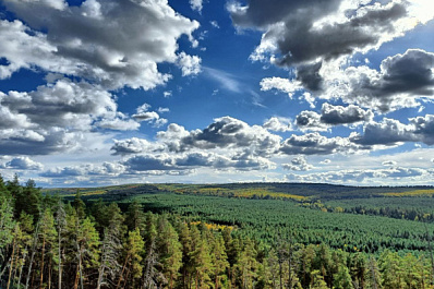 Последняя неделя июля в Самарской области пройдет без погодных сюрпризов