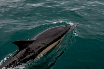 Название статьи