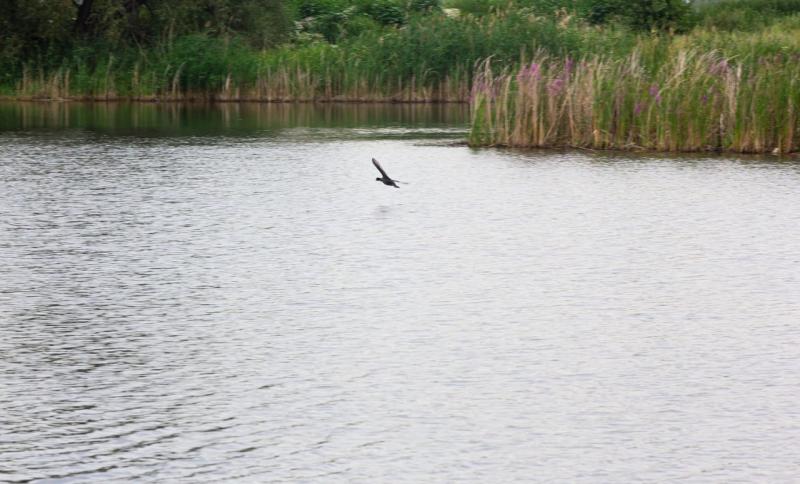 Погода на 9 августа 2025 года: народные приметы и прогноз синоптиков