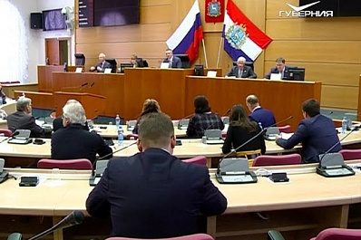 В Самаре обсудили меры поддержки экологических НКО