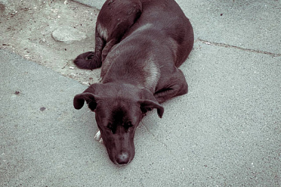 Название статьи