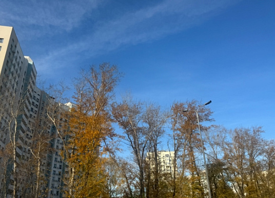 Название статьи