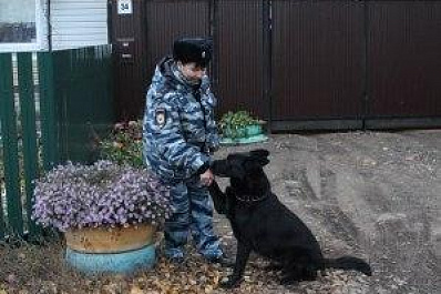 Ума Турман раскрыла кражу в Самарской области