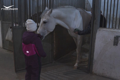 Акция "Елка желаний" помогла исполнить мечту восьмилетней девочки из Самары
