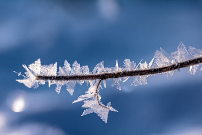 В Самарской области после Рождества ударят морозы