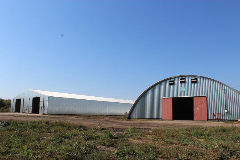 Молочный план: как в Новом Сарбае развивают животноводство