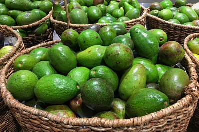 Авокадо против семечек: эксперты рассказали, в чем больше пользы