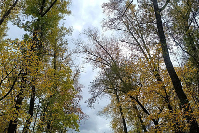 Название статьи