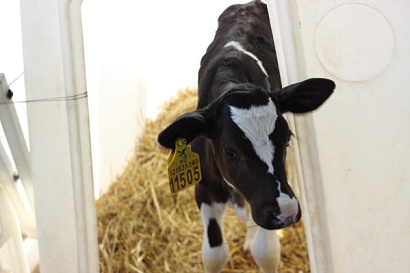 Название статьи