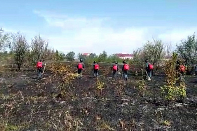Огонь в поселке Яицком с домов перекинулся на камыш