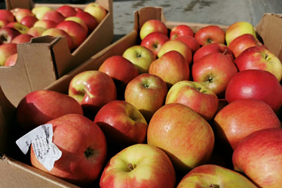 Название статьи