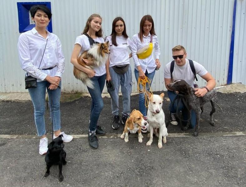 В Ленинском районе Самары обустроили площадку для выгула собак