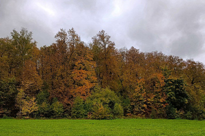 Название статьи