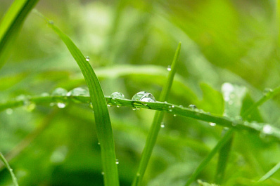 Существенное потепление и небольшие дожди придут в Самарскую область в ближайшие дни