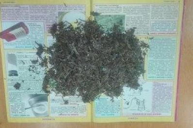 В Октябрьске полицейские обнаружили похищенный телевизор и 33 г марихуаны