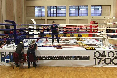 Чемпионат области по смешанным боевым единоборствам состоялся в областном центре