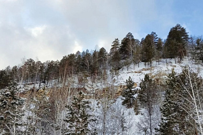 В Красноярском районе браконьеры убили самку косули