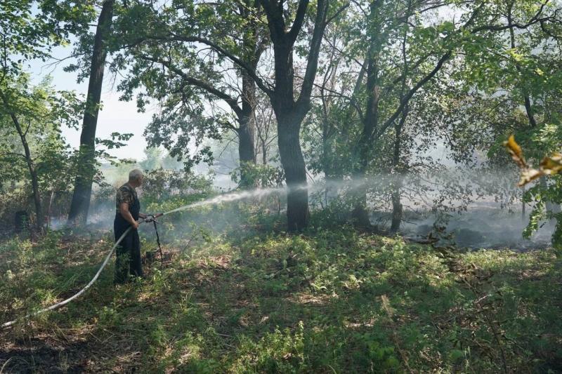 В Сызранском районе горит 23 га леса