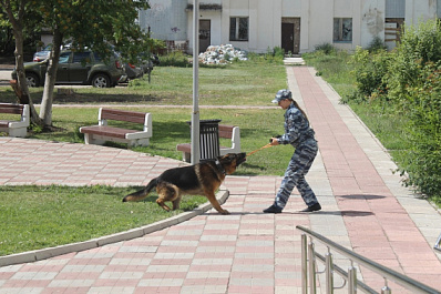 Юным спортсменам показали возможности кинологической службы и напомнили о ПДД