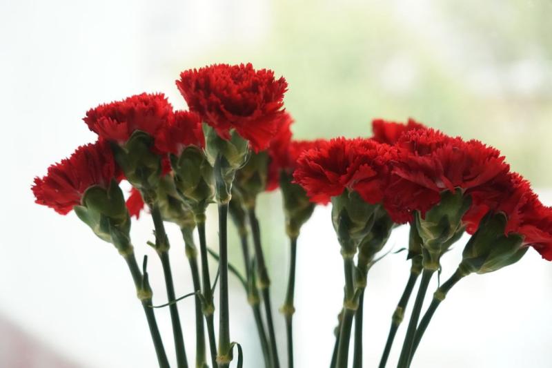 Знамя Победы: в Самарской области провели квест на тему Великой Отечественной войны