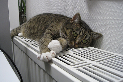 Отопительный сезон 2020-2021 в Самаре могут завершить 15 апреля