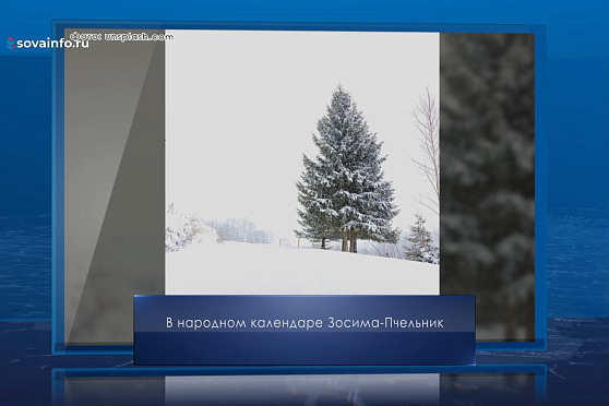 Зосима Пчельник. Календарь Губернии от 17 января