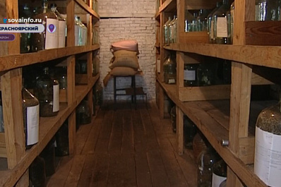 Шишкосушильня в Новом Буяне обеспечивает семенами сосны питомники Самарской области