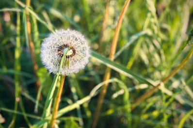 Народные приметы на 15 июня 2025 года: что нельзя делать в этот день