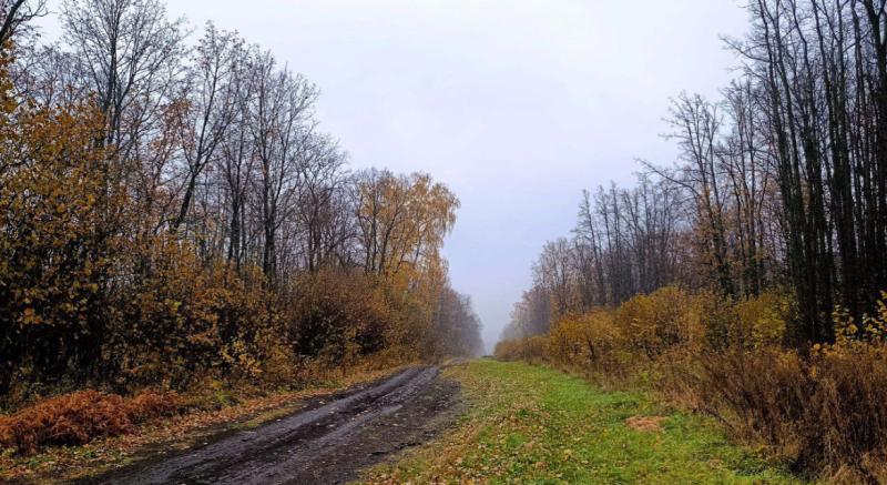 Эконадзор из космоса выявил многомиллионный ущерб недрам в Сызранском районе